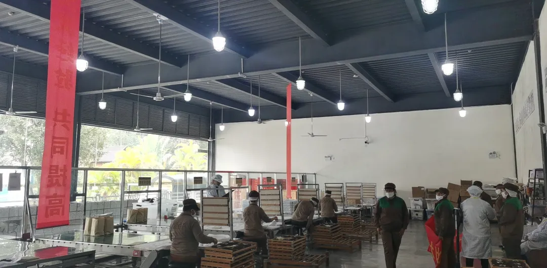 精益求精&middot;鑄造品質(zhì)｜六大茶山第十四屆技術(shù)大比武圓滿完成